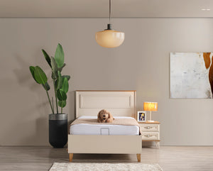 Vizyon Baza 120x200
